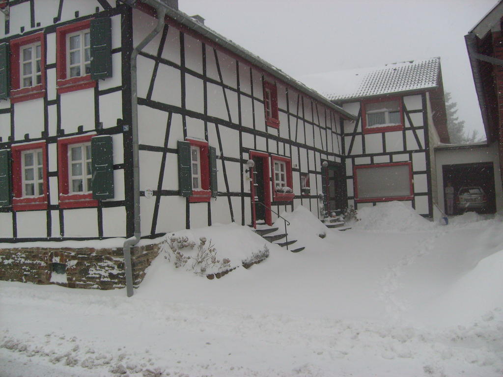 Ferienwohnung Duerbaum Schleiden Exterior photo